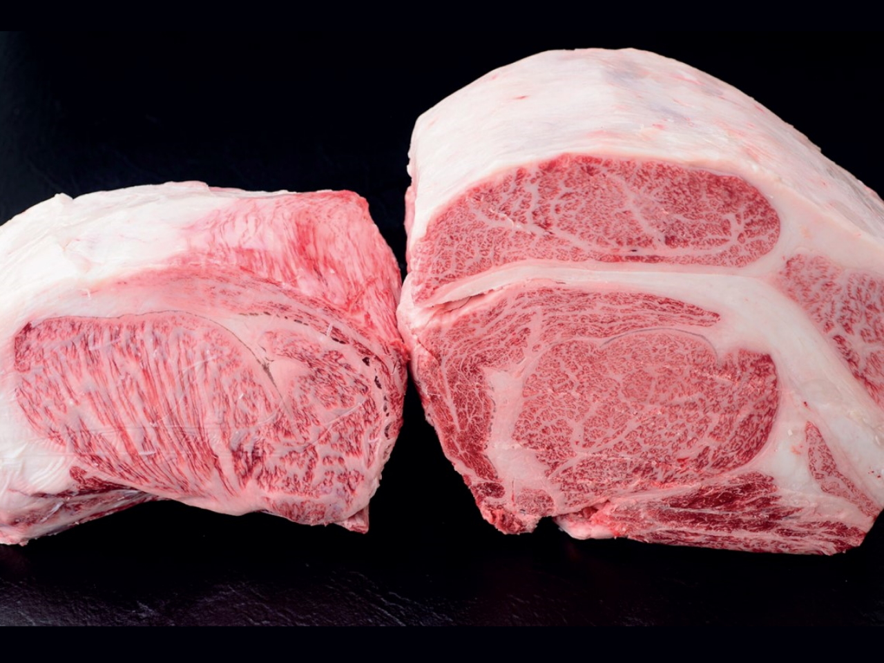 Wagyu Beef Wholesale KL Kuala Lumpur | Best Halal Premium A5 Japanese Wagyu Beef | Direct imported from Japan